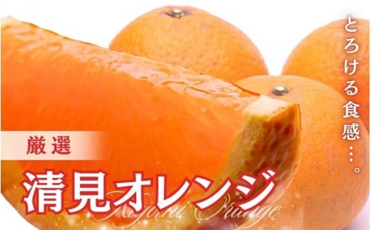 厳選 清見オレンジ 5kg+250g(傷み補償分)[光センサー食頃出荷][樹上完熟きよみオレンジ・清見タンゴール・清美] / 和歌山 おすすめ 果物 くだもの 柑橘 みかん オレンジ きよみオレンジ ※2027年2月〜6月上旬ごろに順次発送 ※北海道・沖縄・離島への配送不可[ikd011-p-5D]
