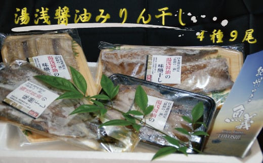 湯浅醤油みりん干し4品種9尾入りの詰め合わせ【和歌山の近海でとれた新鮮魚】【TM64】【tec248-9】