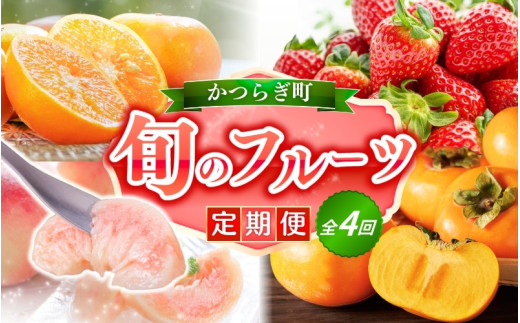 【定期便4回】旬の フルーツ定期便 / はれひめ みかん いちご まりひめ 桃 秀品 柿 種無し フルーツ 定期便 ふるーつ定期便 フルーツ 詰め合わせ 果物定期便 春フルーツ 夏フルーツ 秋フルーツ 冬フルーツ 産地直送【kgr530-4】