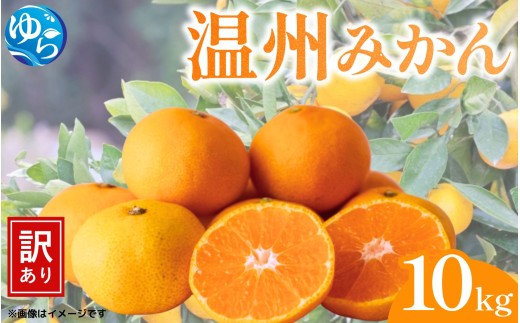 （訳あり）温州みかん 10kg / みかん ミカン 和歌山県 柑橘  甘い 蜜柑 フルーツ 果物 くだもの 食品  産地直送 由良町 ご家庭用 温州 温州ミカン ※12月上旬～12月中旬頃に順次発送予定【kwgc004-12】