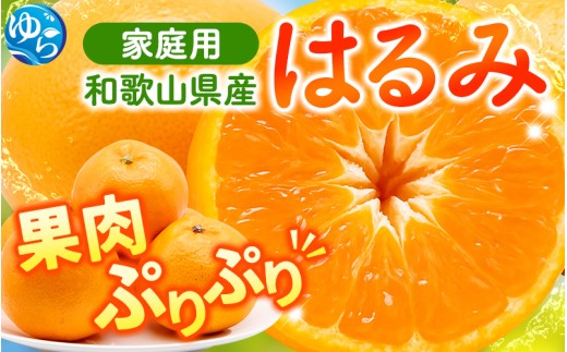 【先行予約】 家庭用 はるみ 訳あり 2.5kg+250g（傷み補償分）/ 春 みかん 光センサー選別 ※2026年2月上旬〜3月下旬ごろに順次発送予定 ※北海道・沖縄・離島への配送不可  【ikd013-c-2d5B】