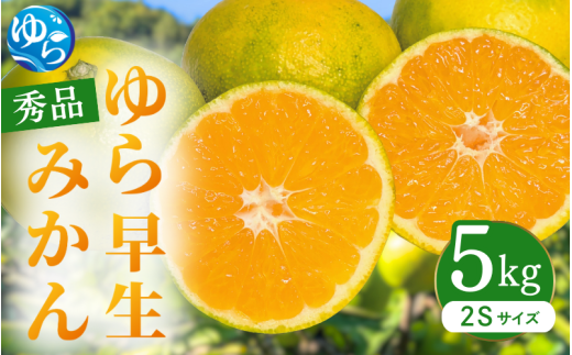 ゆら早生みかん 秀品 2Sサイズ 5kg 贈答用※2026年10月上旬～11月中旬頃に順次発送予定 / ゆら早生 柑橘 極早生 フルーツ 果物 くだもの 食品 人気 おすすめ 送料無料 由良町 【ksmt003-r-5】