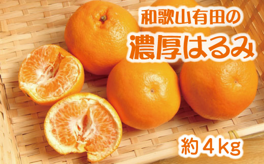 濃厚 はるみ みかん 4kg (2L又は3Lサイズ) / みかん ミカン オレンジ 柑橘 フルーツ 果物 旬 ※2027年1月下旬～2月中旬頃に順次発送予定 【ard013-noko-r-4B】