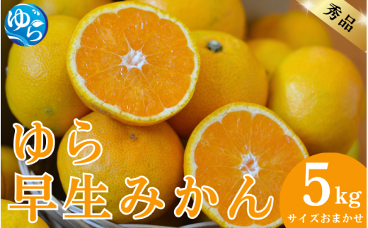 秀品 ゆら早生みかん 5kg サイズおまかせ（2S～L） / 蜜柑 温州ミカン 柑橘 産地直送 由良町 和歌山 ※10月中旬頃より11月上旬頃に順次発送予定【kjen003-r-5】
