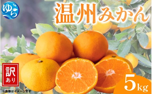 （訳あり）温州みかん 5kg / みかん ミカン 和歌山県 柑橘  甘い 蜜柑 フルーツ 果物 くだもの 食品  産地直送 由良町 ご家庭用 温州 温州ミカン ※11月中旬～11月下旬頃に順次発送予定【kwgc003-11】