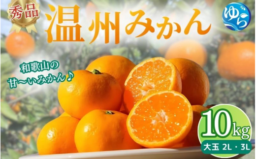 秀品 温州みかん 10kg ≪大玉≫ / みかん ミカン 和歌山県 柑橘  甘い 蜜柑 フルーツ 果物 くだもの 食品  産地直送 由良町  温州 みかん ※2026年11月中旬～1月上旬頃に順次発送予定【myvi004-p-ｌ】