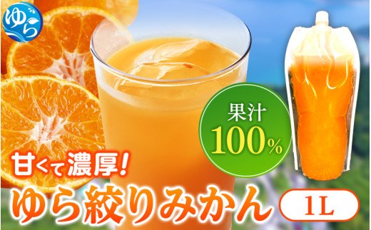 無添加 ストレート果汁！ みかんジュース 1L×3本【fmlb020A】