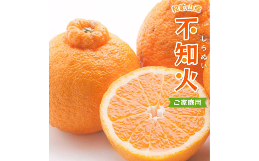 不知火 家庭用 1kg＋250g（痛み補償分） / みかん 訳あり しらぬい 光センサー 選別 デコポン 柑橘 晩柑 和歌山 甘い 5000円 / ※2027年2月上旬～4月上旬ごろに順次発送予定 ※北海道・沖縄・離島への配送不可【ikd010-c-1C】