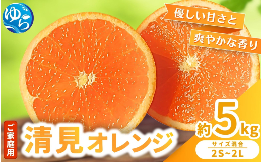 ≪家庭用≫ 清見オレンジ 5kg / くだもの  果実  柑橘 果物 フルーツ 国産 和歌山県 由良町 清見 和歌山 甘い ※2027年3月上旬～3月中旬頃に順次発送予定 【nktn011-c-5】