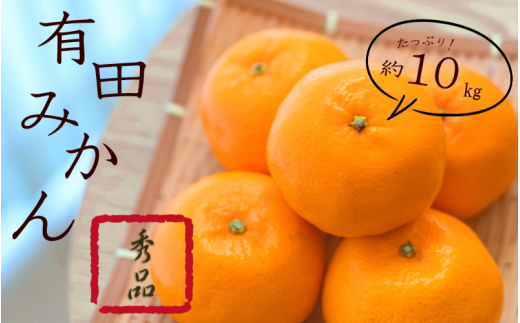 紀州 有田 みかん 秀品 10kg サイズおまかせ(Ｌ・М・Ｓ)  / 温州みかん 有田みかん 甘い 高級 和歌山 柑橘 ※2026年11月下旬～2027年1月中旬頃順次発送予定【sml004-r-10A】 