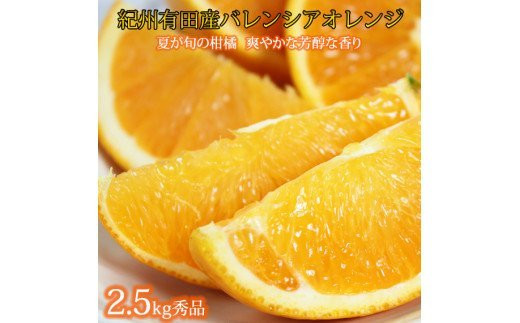 秀品 希少な国産バレンシアオレンジ 2.5kg ※2027年6月下旬頃～2027年7月上旬頃に順次発送【UT75】【uot809】