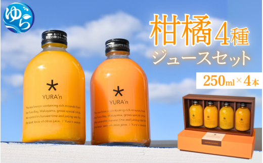 柑橘4種　ジュースセット 250ml×4本 ※ギフト対応可※ / 和歌山県 柑橘 みかん 蜜柑 フルーツ 果物 くだもの 食品 人気 由良町 晩柑 おすすめ 送料無料 産地直送 由良町産 ドリンク【kzmn100-set4-4】