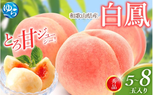 白鳳 桃 5～8玉入り 秀品 【2026年6月下旬以降発送】桃 モモ フルーツ 果物 くだもの 人気 産地直送 厳選 甘い 予約 もも フルーツ王国【mtgn053B】