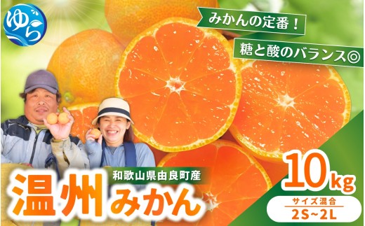 温州みかん 10kg 2S～2Lサイズ混合 11月発送 /  温州 みかん 和歌山 由良  甘い フルーツ 人気 正月 農家直送 ※2026年11月中旬頃～11月下旬頃に順次発送予定【nktn004-r-10-nov】