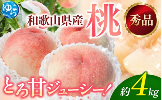 朝採れ 和歌山 桃　約4kg 秀品 ※2027年6月下旬～8月上旬頃順次発送予定 【tec911B】
