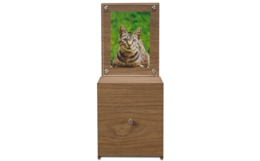 Bosk バスク ペットメモリアル ブラウン タツクラフト 【Tk153】【ttcf031】