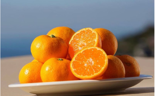 秀品 温州みかん 10kg / みかん ミカン 和歌山県 柑橘  甘い 蜜柑 フルーツ 果物 くだもの 食品  産地直送 由良町  温州 みかん ※2026年11月中旬～1月上旬頃に順次発送予定【myvi004-p-10】