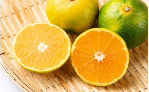 ç±è¯ æ©ç ã¿ãã (ãµã€ãºããŸãã) 5kg â»2026幎11æäžæ¬ïœ12æäžæ¬ã«é 次çºéäºå®â»åæµ·éã»æ²çžã»é¢å³¶é
éäžå¯ / æž©å·ã¿ãã çã ææ© æç© åæå±± ãeiw003-r-5ã