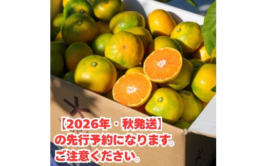 ゆら早生 みかん 3kg / 和歌山県 柑橘 みかん 甘い 蜜柑 フルーツ 果物 くだもの 食品 人気  晩柑 おすすめ 送料無料 産地直送 由良町  ※2026年10月上旬頃～10月下旬頃に順次発送予定【kzmn003-r-3】