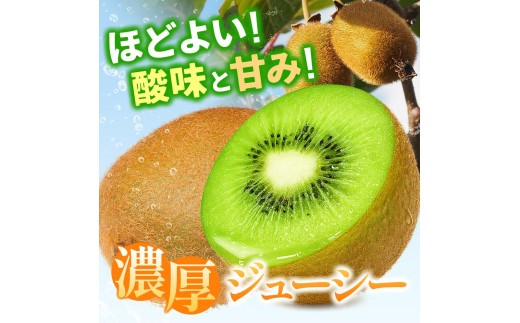 厳選 キウイ フルーツ5kg+250g（傷み補償分） / キウイフルーツ 高級 和歌山 ※2026年11月中旬より2027年4月下旬頃順次発送予定 ※北海道・沖縄・離島への配送不可 【ikd505-p-5C】