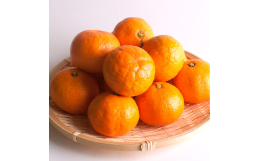 鹿蔵 プレミアム 有田 みかん 2.5kg+250g（傷み補償分）(完熟) / 温州みかん 有田みかん 光センサー 選別 甘い 和歌山 柑橘 ※2026年10月上旬～11月中旬頃に順次発送予定 ※北海道・沖縄・離島への配送不可 【ikd004-prem-2d5A】