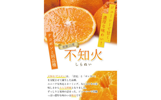 äžç¥ç« å®¶åºçš 10kg+250gïŒçã¿è£ååïŒ/ ã¿ãã èš³ãã ããã¬ã å
ã»ã³ãµãŒ éžå¥ ãã³ãã³ ææ© æ©æ åæå±± çã 24000å / â»2027幎2æäžæ¬ïœ4æäžæ¬ããã«é 次çºéäºå® â»åæµ·éã»æ²çžã»é¢å³¶ãžã®é
éäžå¯ ãikd010-c-10Cã