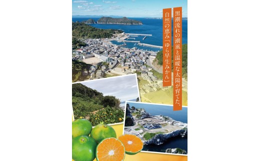 ゆら早生みかん10kg ※2026年10月上旬頃～10月下旬頃に順次発送予定(お届け日指定不可) /  極早生 早生 由良町 和歌山県 柑橘 密柑 完熟 甘い ミカン 光センサー 柑橘 果実 くだもの フルーツ ブ   先行予約【jahd003-r-10】