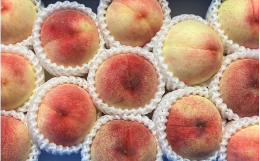 和歌山県産の 桃 11～15個(4kg) / もも モモ フルーツ 果物  厳選 甘い ※2026年7月上旬～8月上旬発送 ※北海道・沖縄・離島配送不可  【eiw501-momo-4】