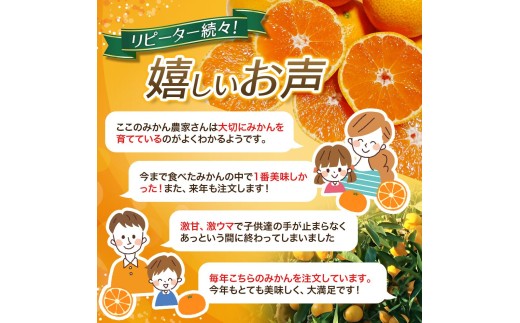 薄皮で濃い甘さ！完熟由良みかん【秀】5kg×1箱（混サイズ）和歌山県由良産※2026年11月下旬頃から12月下旬頃に順次発送予定 / 柑橘 ミカン 蜜柑 甘い 由良町 フルーツ 果物 くだもの 食品 人気 おすすめ 産地直送 由良町【ktym004-p-5】