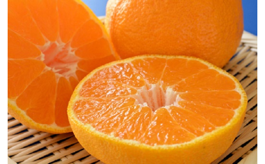 åæå±±æç°ã®æ¿å 倧ç ãã³ãã³ 12ïœ15ç çŽ5kg / åæå±± ãã«ã³ ãªã¬ã³ãž ææ© ãã«ãŒã æç© ãã©ã³ã ã§ããœã æ¬ â»2027幎1æäžæ¬ïœ3æäžæ¬é ã«é 次çºéäºå® ãard010-noko-l5Aã