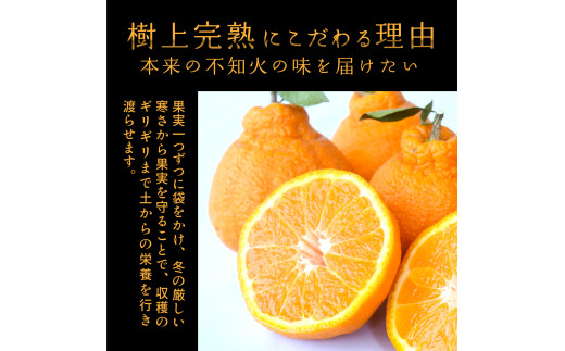 ãèŽççšåç²§ç®±å
¥ã äžç¥ç« æš¹äžå®ç çŽ2kg ïŒ5ïœ8åå
¥ïŒâ»2027幎2æäžæ¬é ãã3æäžæ¬é ã«é 次çºéãKG10ããkgr014ã