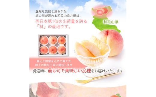 【先行予約受付】和歌山県産の美味しい 桃 約3.6kg(11～15玉) /もも 果物 フルーツ 和歌山県 ※6月中旬～8月上旬頃順次発送予定 ※離島への配送不可 【mat501-r-3d6】