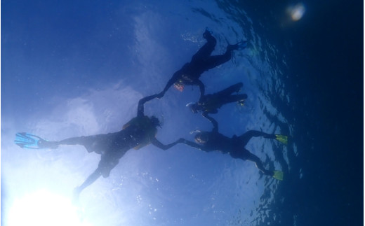 【2026年6月～10月】ボートシュノーケリングをプチクルーズ感覚で体験！ / スノーケリング 海 船 マリンスポーツ 体験 観光 レジャー アウトドア 和歌山県 由良町【scbs001】