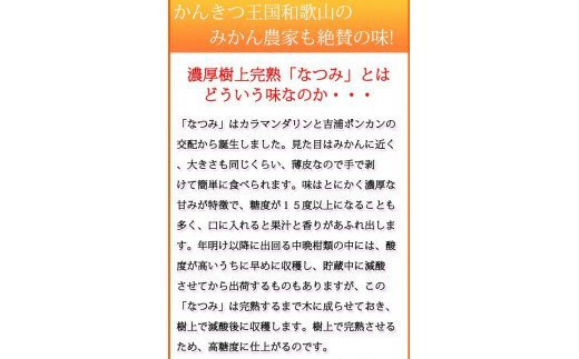 初夏の みかん なつみ 3kg / 柑橘 甘い 果物 和歌山 ※2027年4月中旬頃〜4月下旬頃発送予定 【uot753A】