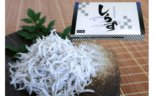 釜あげしらす 化粧箱900g / 贈答用 お歳暮 お中元 釜揚げ シラス しらす丼 国産 冷蔵 個包装 魚 お魚 さかな 食品 和歌山県 由良町 新鮮 【dig004】