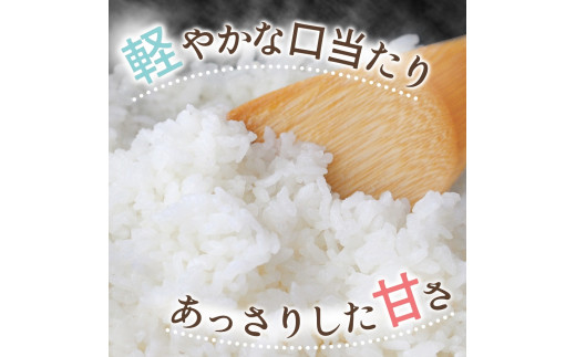 和歌山県産 キヌヒカリ 5kg（2025年産） / お米 きぬひかり 白米 由良町 令和7年 人気 おすすめ ※2025年9月中旬より順次発送予定【sml400-kinu-5D】