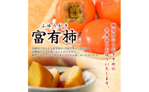 【2026年発送】富有柿 赤秀品 大玉 6個～8個入 こだわり農家厳選【2026年10月末から11月末頃に順次発送予定】 / 柿 フルーツ 果物 かき 和歌山 かつらぎ 農家直送 贈答 【kgr043】