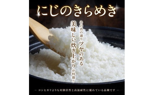 【7日以内発送】令和7年度産 にじのきらめき 5kg ※お届け日指定不可※ / 白米 お米 由良町 精米 和歌山 2025年度 ごはん ご飯 米 こめ【jahd400-niji-5】