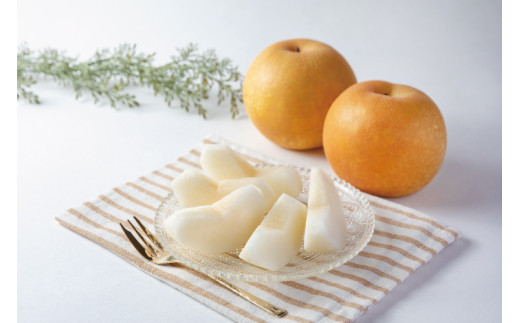 【先行予約受付】和歌山県産の美味しい 梨 約4kg（10～13玉） / なし 果物 フルーツ 和歌山県 ※8月中旬～9月中旬頃順次発送予定 ※離島への配送不可 【mat503-r-4】