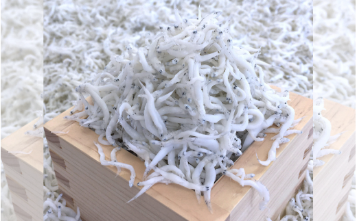 詰め合わせ２色「潮彩A」siosai（釜あげしらす240g×2） / 釜揚げしらす シラス 由良町 海産 産地直送 お取り寄せ 小分け ギフト 贈答 和歌山【dig248-sioA-2】