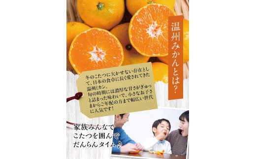 【糖度12度以上！】温州みかん「ゆらっ子」5kg ※2026年12月上旬～12月下旬頃に順次発送予定(お届け日指定不可) / 温州 密柑 JA 糖度 甘い 光センサー ゆらみかん 由良町 ミカン ブランド認定 柑橘 期間限定 和歌山県産【jahd004-r-5】