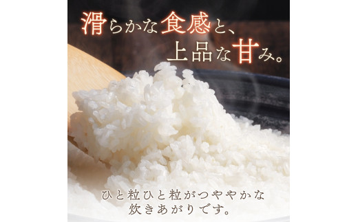 【7日以内発送】令和7年度産 きぬひかり 5kg ※お届け日指定不可※ / 白米 お米 キヌヒカリ 由良町 精米 和歌山 2024年度 ごはん ご飯 米 こめ 　【jahd400-kinu-5】