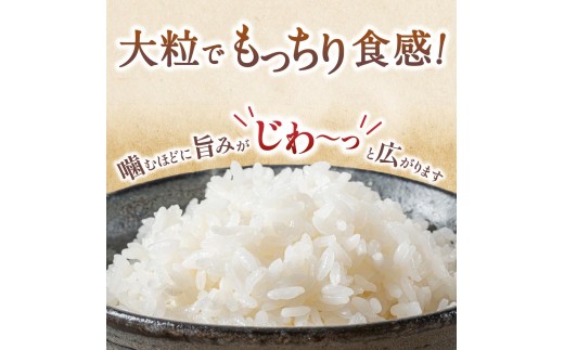 【7日以内発送】令和7年度産 にじのきらめき 5kg ※お届け日指定不可※ / 白米 お米 由良町 精米 和歌山 2025年度 ごはん ご飯 米 こめ【jahd400-niji-5】