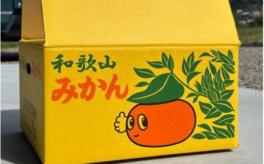 ＼訳あり／ ゆら早生みかん 10kg / みかん ミカン 和歌山県 柑橘 早生 甘い 蜜柑 フルーツ 果物 くだもの 食品  産地直送 由良町 ご家庭用 ゆら早生 早生みかん ※2026年10月上旬～10月下旬頃に順次発送予定【kwgc003-c-10】