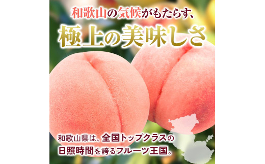 【先行予約】和歌山県産の 桃 6～8個(2kg) / もも モモ 甘い フルーツ 果物 くだもの 厳選 ※2026年7月上旬～8月上旬発送 ※北海道・沖縄・離島配送不可 【eiw501-momo-2】