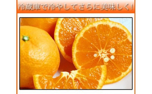 初夏の みかん なつみ 3kg / 柑橘 甘い 果物 和歌山 ※2027年4月中旬頃〜4月下旬頃発送予定 【uot753A】