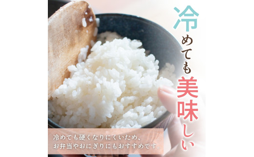 和歌山県産 キヌヒカリ 5kg（2025年産） / お米 きぬひかり 白米 由良町 令和7年 人気 おすすめ ※2025年9月中旬より順次発送予定【sml400-kinu-5D】