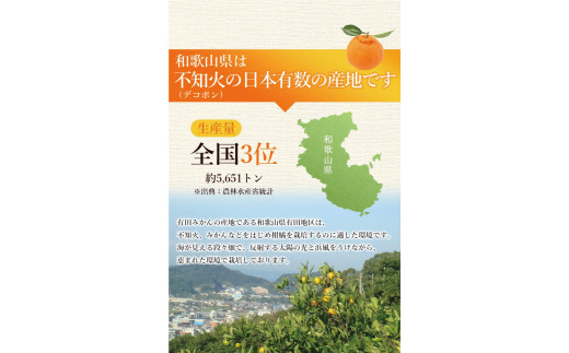 不知火 家庭用 2.5kg+250g（痛み補償分）/ みかん 訳あり しらぬい 光センサー 選別 デコポン 柑橘 晩柑 和歌山 甘い 8000円 ※2027年2月上旬～4月上旬ごろに順次発送予定 ※北海道・沖縄・離島への配送不可【ikd010-c-2d5C】