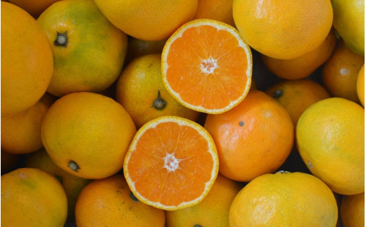 秀品 ゆら早生みかん 10kg / みかん ミカン 和歌山県 柑橘 早生 甘い 蜜柑 フルーツ 果物 くだもの 食品  産地直送 由良町 ゆら早生 早生みかん ※2026年10月上旬～10月下旬頃に順次発送予定 【myvi003-p-10】