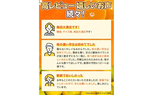 ゆら早生 みかん 3kg / 和歌山県 柑橘 みかん 甘い 蜜柑 フルーツ 果物 くだもの 食品 人気  晩柑 おすすめ 送料無料 産地直送 由良町  ※2026年10月上旬頃～10月下旬頃に順次発送予定【kzmn003-r-3】